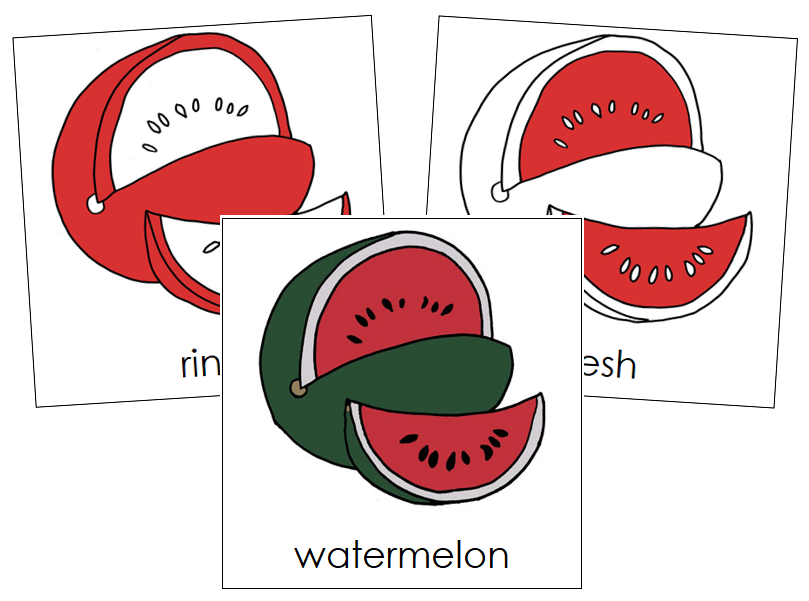 Watermelon Nomenclature Cards (red) - Montessori Print Shop Digital Download