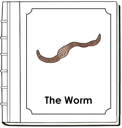 Parts of a Worm Nomenclature Book - Montessori Print Shop Digital Download