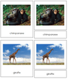 African Animal Cards - Montessori Print Shop Continent Studies