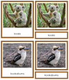 Animals of Australia/Oceania 3-Part Cards - Montessori Print Shop continent study