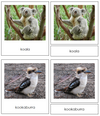 Australian/Oceania Animals - Montessori Print Shop continent study