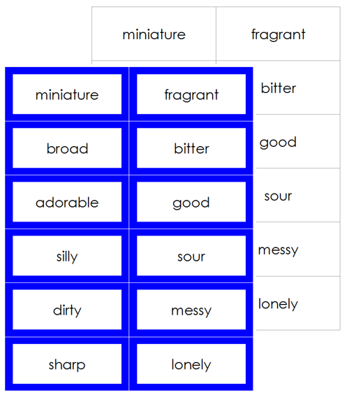 Adjective Cards (Elementary) - Montessori grammar cards