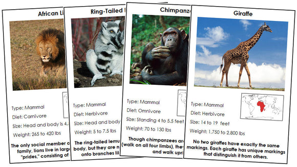 Animals of the World Information Cards Bundle - Montessori Print Shop