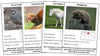 Animals of Europe Information Cards - Montessori Print Shop