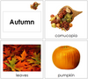 Autumn Season Cards - Toddler - Montessori Print Shop
