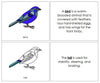Parts of a Bird Nomenclature Book - Montessori Print Shop