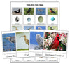 Printable Birds and Their Eggs Lesson - Montessori Print Shop