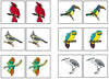 Bird Match-Up & Memory Game - Montessori Print Shop