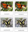 butterflies - Montessori Print Shop