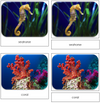 Coral Reef - Safari Toob Cards
