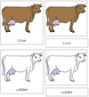 Cow Nomenclature 3-Part Cards - Montessori Print Shop