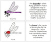 Dragonfly Nomenclature Book (red) - Montessori Print Shop
