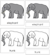 Elephant Nomenclature 3-Part Cards - Montessori Print Shop