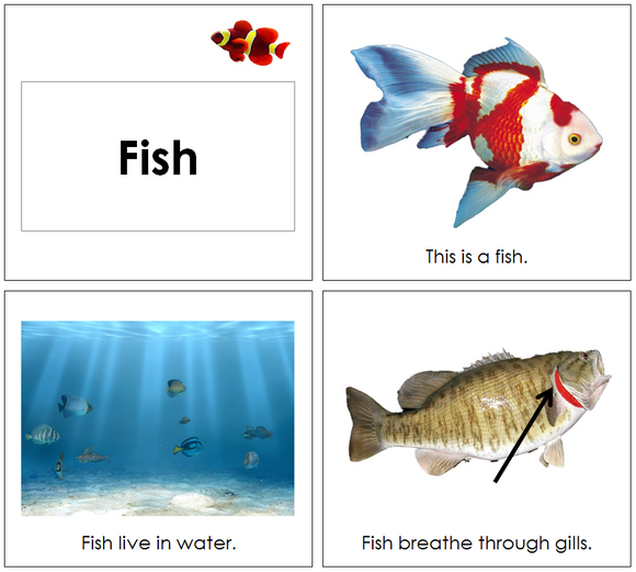 Fish Book - Toddler - Montessori Print Shop