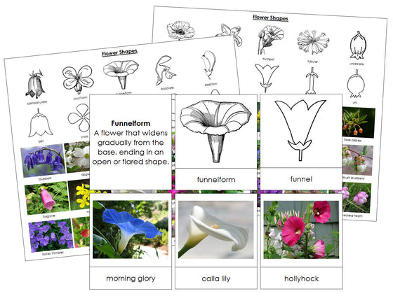 Flower Shapes - Montessori Print Shop