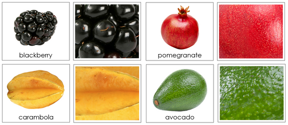 Fruit: Part To Whole - Montessori Print Shop preschool activity
