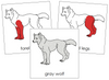 Gray Wolf Nomenclature Cards (red) - Montessori Print Shop