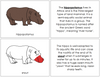 Hippopotamus Nomenclature Book (red) - Montessori Print Shop
