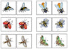 Insect Match-Up & Memory Game - Montessori Print Shop