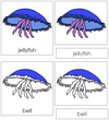 Jellyfish Nomenclature Cards - Montessori Print shop