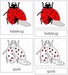 Ladybug Nomenclature 3-Part Cards (red) - Montessori Print Shop