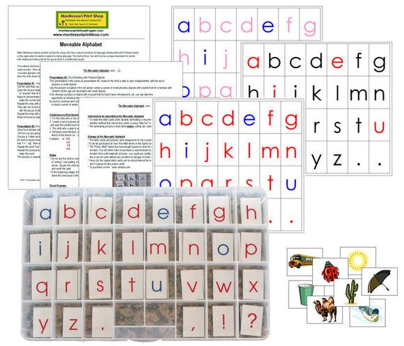 Montessori Moveable Alphabet with Instructions (Print) - Montessori Print Shop