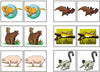 Mammal Match-Up & Memory Game - Montessori Print Shop