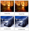 Types of Natural Disasters Nomenclature 3-Part Cards - Montessori Print Shop