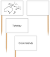 Oceania Map Labels: Pin Flags - Montessori geography materials