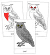 Owl Nomenclature Cards (red) - Montessori Print Shop