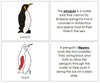 Parts of a Penguin Nomenclature Book (red) - Montessori Print Shop
