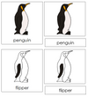 Parts of a Penguin Nomenclature 3-Part Cards - Montessori Print Shop