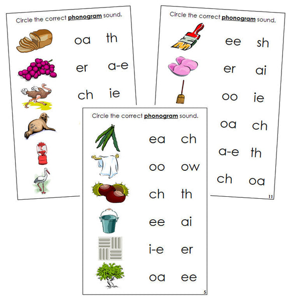 Step 3: Phonogram Sound Choice Cards Set 1 - Montessori language cards - Montessori Print Shop