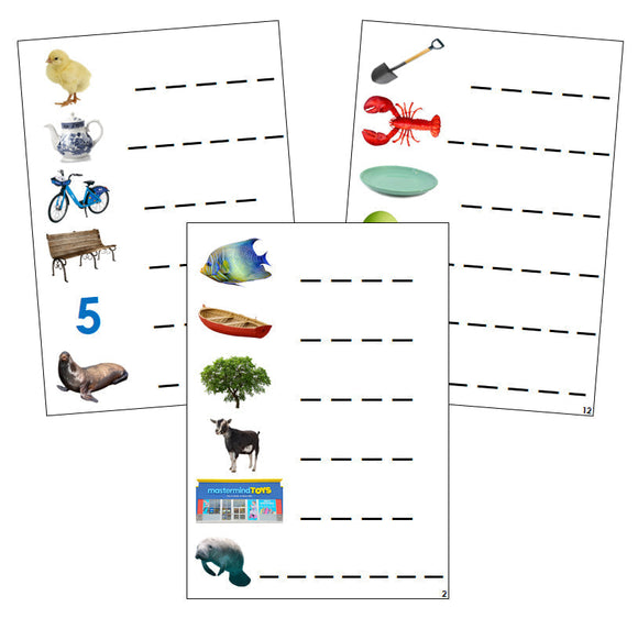 Step 3: Phonogram Spelling Cards - Set 1 (photos) - Montessori Print Shop language program