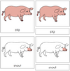 Pig Nomenclature 3-Part Cards - Montessori Print Shop