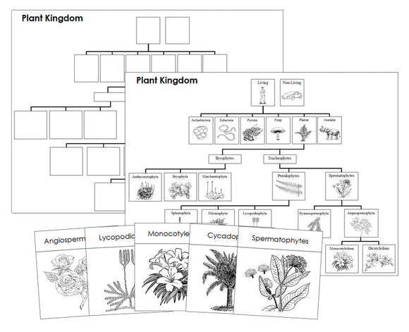 Plant Kingdom Charts & Cards Blackline Masters - Montessori Print Shop
