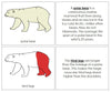 Parts of a Polar Bear Nomenclature Book (red) - Montessori Print Shop