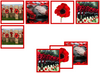 Remembrance Day matching cards - Montessori Print Shop