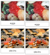 Salmon Life Cycle Nomenclature 3-Part Cards & Charts - Montessori Print Shop