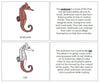 Seahorse Nomenclature Book - Montessori Print Shop