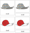 Parts of a Snail Nomenclature 3-Part Cards (red) - Montessori Print Shop
