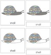 Snail Nomenclature 3-Part Cards - Montessori Print Shop