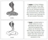 Parts of a Snake Nomenclature Book - Montessori Print Shop