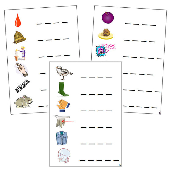 Step 2: Phonetic Spelling Cards - Montessori phonetic  language cards - Montessori Print Shop