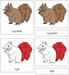Squirrel Nomenclature 3-Part Cards (red) - Montessori Print Shop