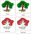 Tree Nomenclature Cards (red) - Montessori Print Shop