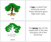 Parts of  Tree Nomenclature Book - Montessori Print Shop