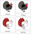 Turkey Nomenclature 3-Part Cards (red) - Montessori Print Shop