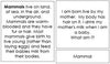 Vertebrates Quiz Cards - Montessori Print Shop science cards