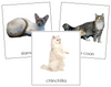 Cat Cards - Montessori Print Shop